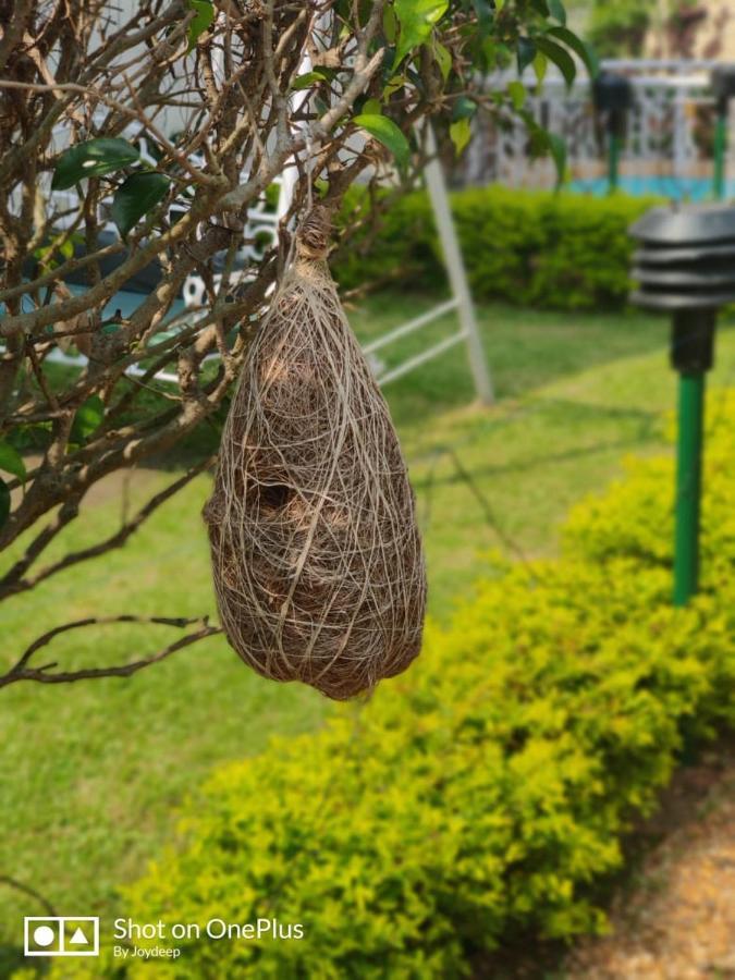 New Hemanjali Resort Bolpur Extérieur photo